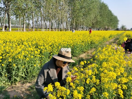 踏青赏花_踏青_赏花_春天去哪玩_芭蕾舞_出行_人文