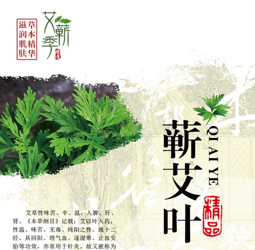 艾蕲季正品刮痧油按摩油去角质收缩毛孔身体