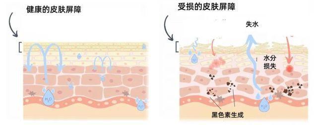 教学图示 641_253