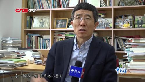 农大教授李小云:让中国传统玉米种植技术扎根坦桑尼亚