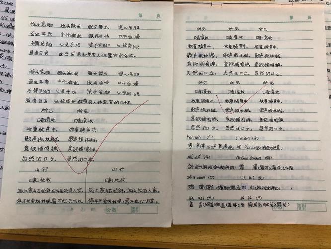 不忘初心 牢记使命 我们在行动——孔桥小学优秀家庭作业展览