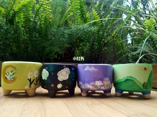 手绘花盆_手绘_花盆_多肉植物_家居家装_家居装饰