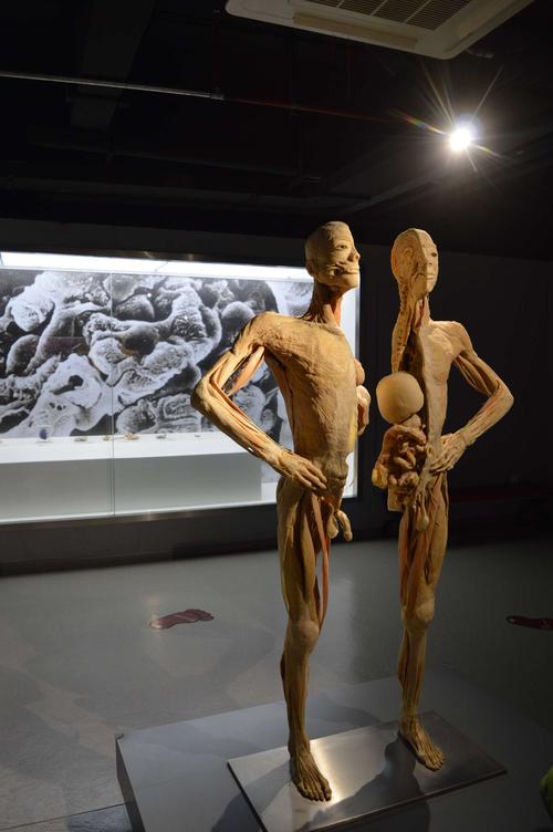 人体奥秘馆.馆内藏品近2000件.是江苏省首批省级研学旅游示范基地.