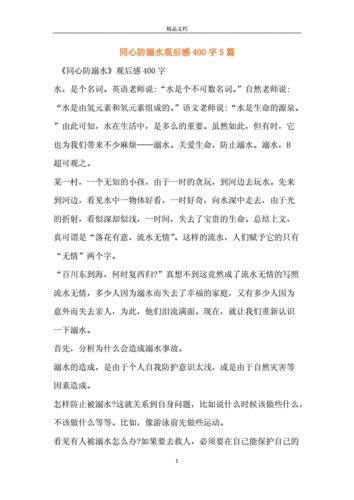 同心防溺水观后感400字5篇.docx 6页