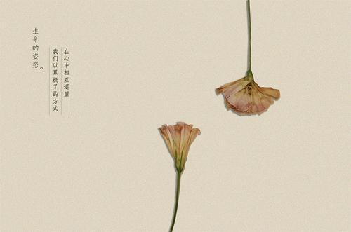 生命的姿态