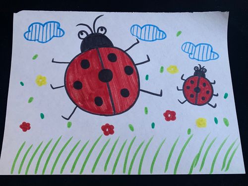 绘画《七星瓢虫》