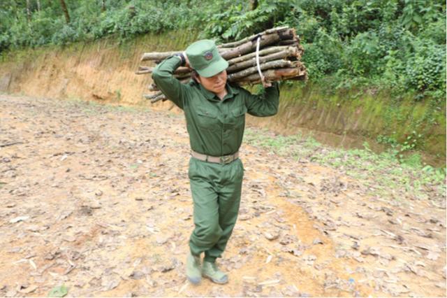 同盟军,果敢同盟军女兵挑柴的日子