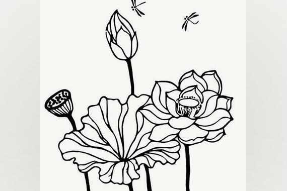 美丽简单的荷花简笔画图片 最新荷叶简笔画图片大全