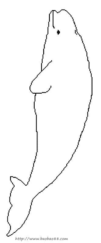 鲸鱼简笔画竖着的,急急急!