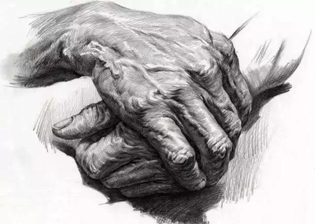 各角度手部特写素描