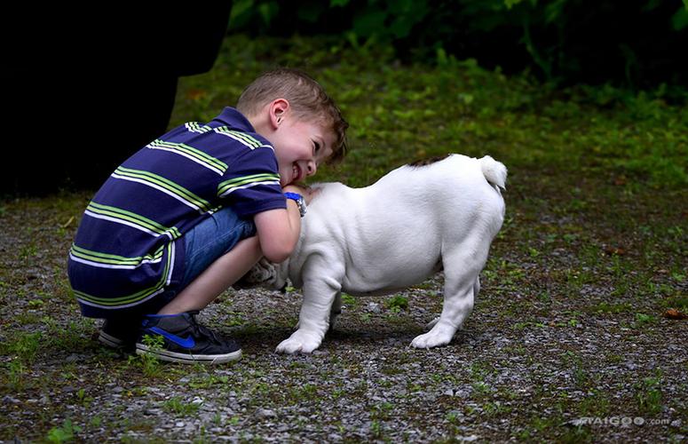 小孩与宠物萌照图片 有爱的流连生活