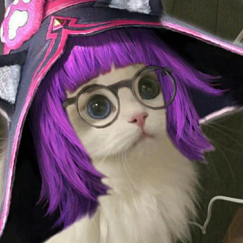 猫猫接头头像 和平精英_夏天去哪玩_猫猫_和平精英夏日狂欢季_素材