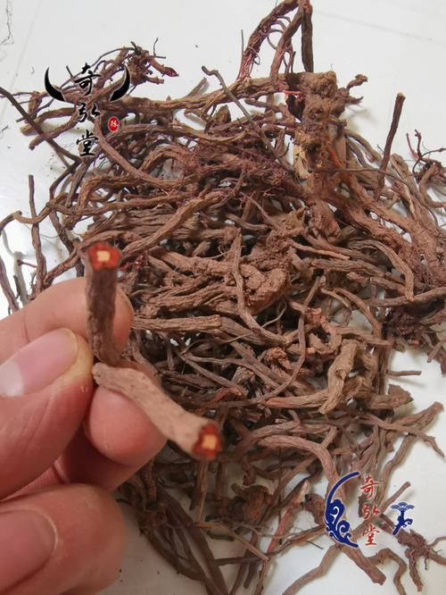 小红参 辽宁小红参电话