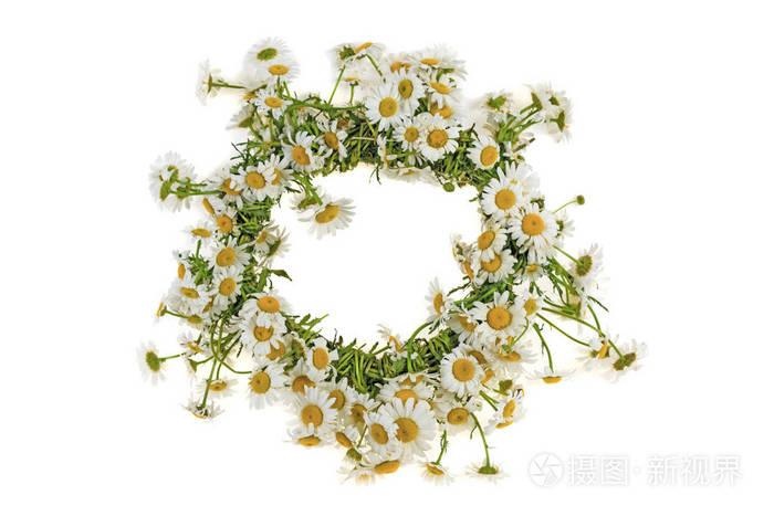 白色背景下的 chamomiles 野花花环