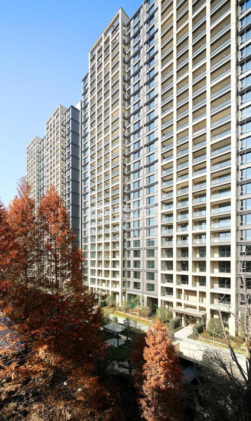 新湖武林国际_杭州新湖武林国际价格_户型_评价_图片_环境 -住在杭州