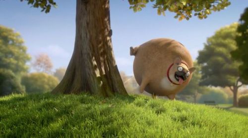 一场动物世界的肉搏