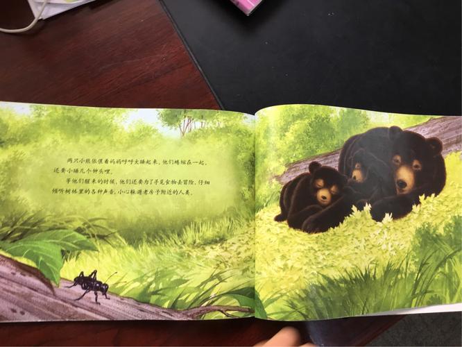 绘本故事《黑熊的森林旅行》