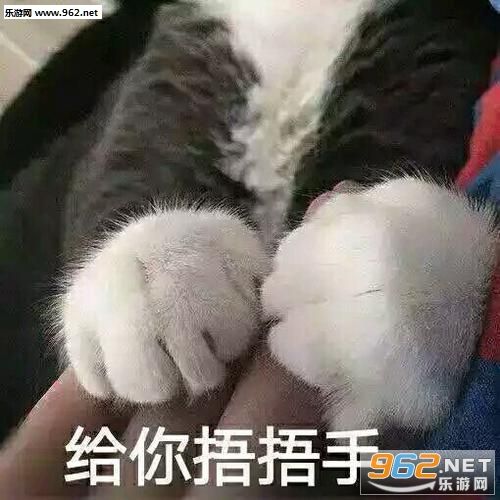 猫爪给我五块钱表情包