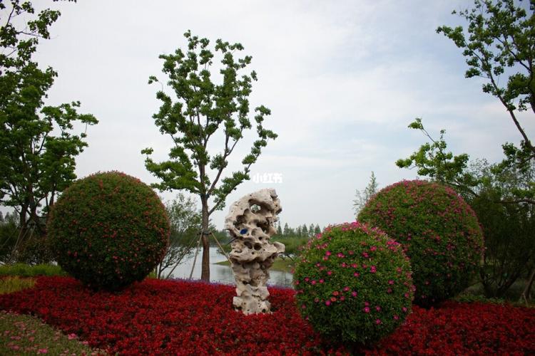 花博园_崇明花博会_出行_人文风光展示