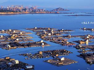 地址:福建省泉州市泉港区南埔镇22         张