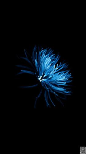 高清黑色手机锁屏壁纸