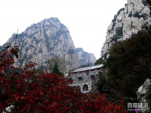 万花山