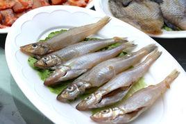沙尖鱼