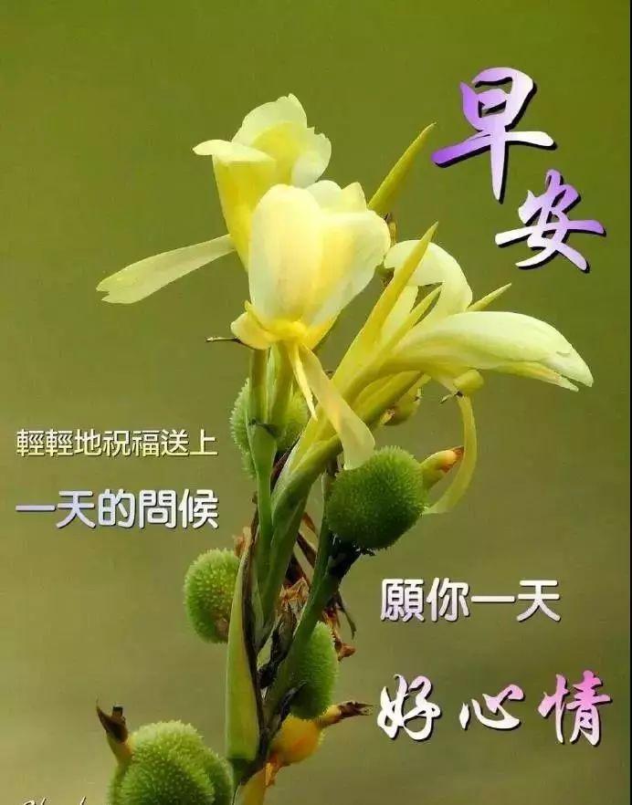 2020最棒早安问候祝福语动画表情动态图片,早安