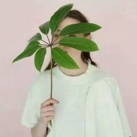 手拿植物头像图片_微信头像图片大全