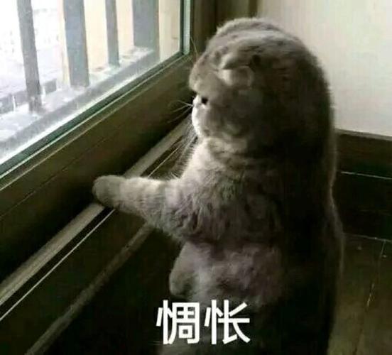 惆怅