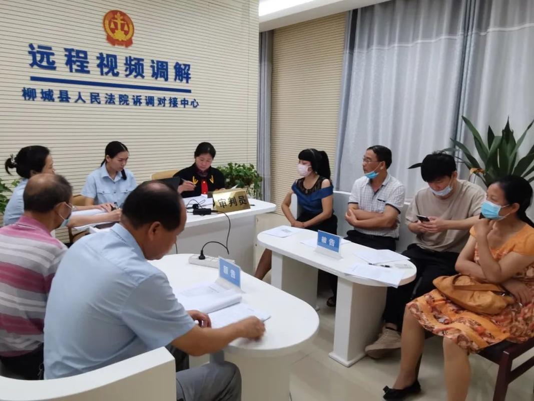 远程视频促调解法院高效解难题