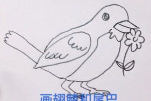 儿童简笔画动物小鸟彩色小鸟怎么画图片