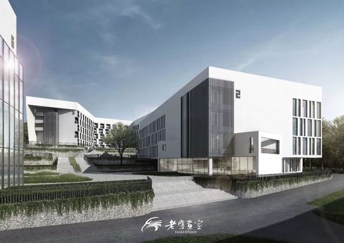 象山校区---深圳校区---义乌校区---温州校区---衢州校区---老鹰成绩