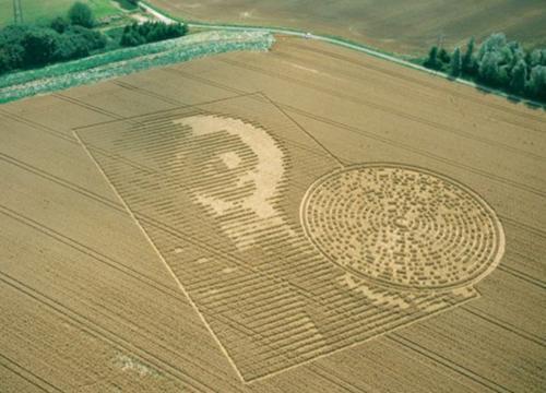 解密麦田怪圈之谜,已破解