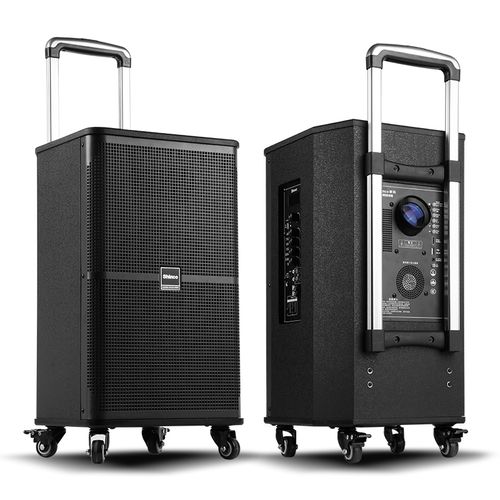 shinco新科b1广场舞投影音响户外移动拉杆音箱大功率会议家用室内k歌