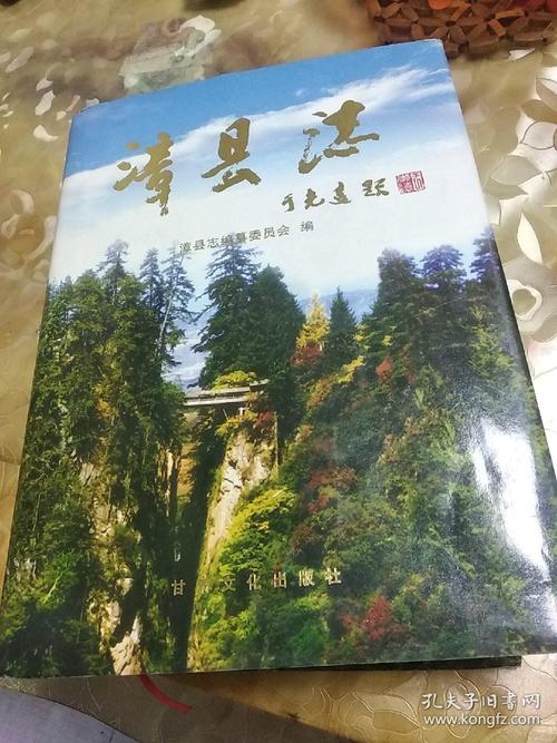 漳县志
