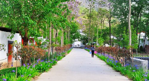 干净整洁的乡村道路.图片来源:赣州文明网