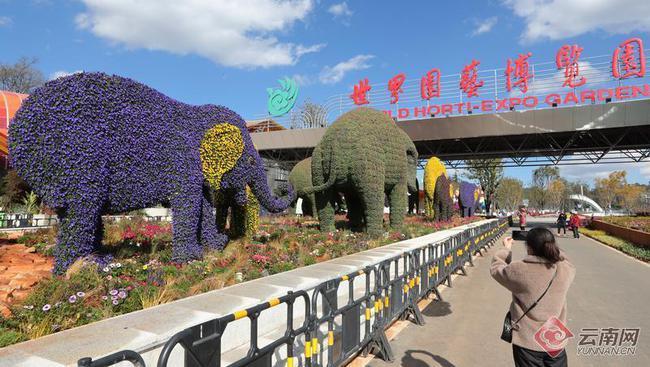 昆明世博园景观提升展新颜