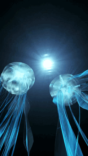 三维特效水母测试