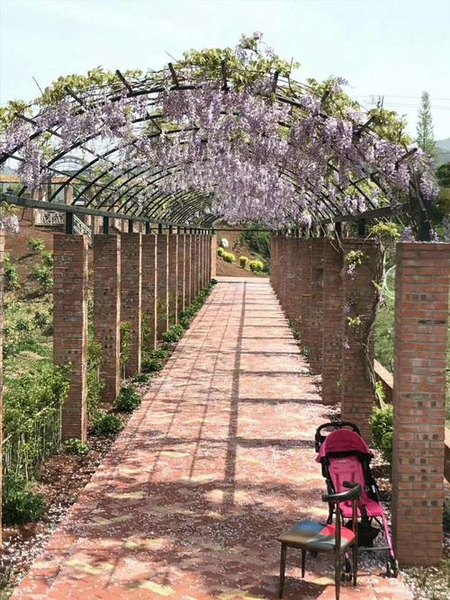 紫藤庄园一日游方案