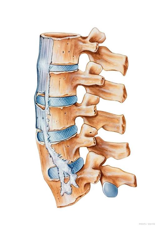 强直性脊柱炎问题汇总你想知道的都在这里