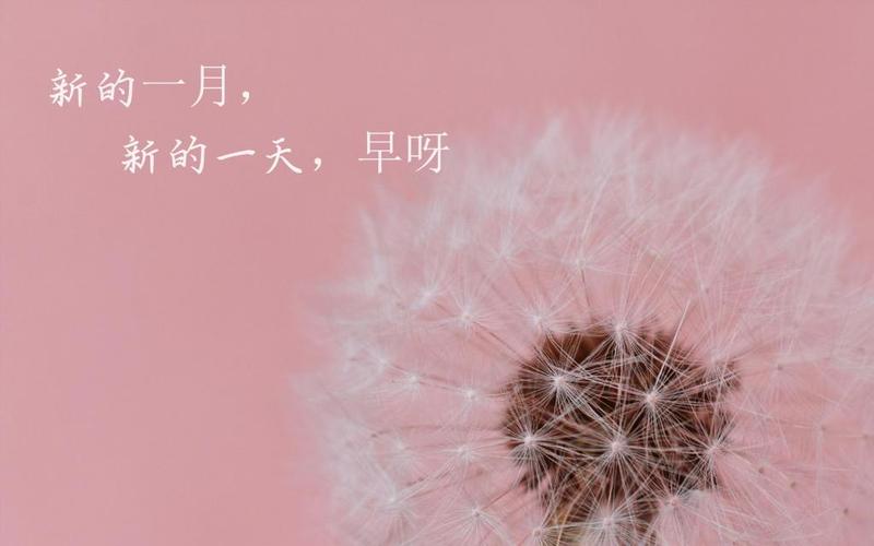 早安!  新的一月,新