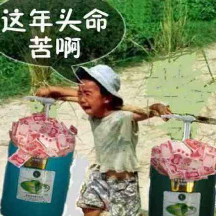 为什么命苦的人