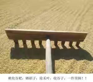 现在的农村,也还有不少人在家务农,可是现在的务农