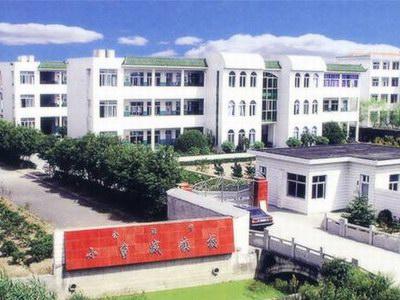 小曹娥镇的行政区划