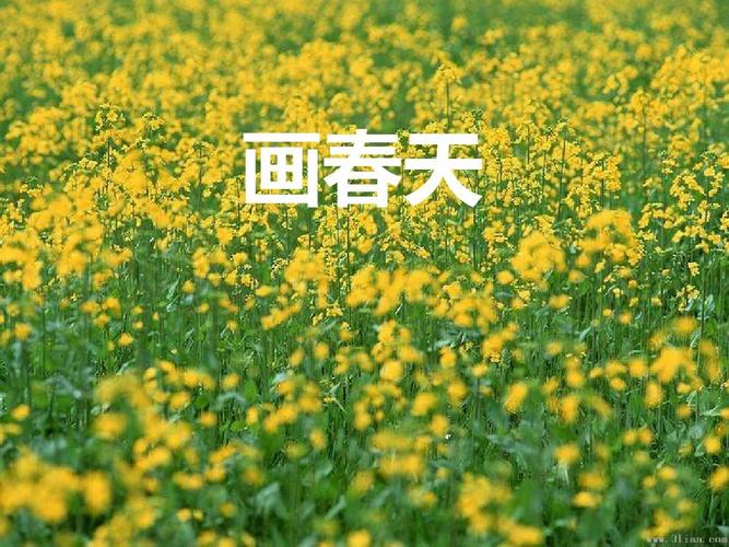 大班综合活动:《画春天》ppt