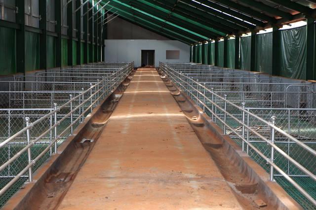 关于羊舍的建设