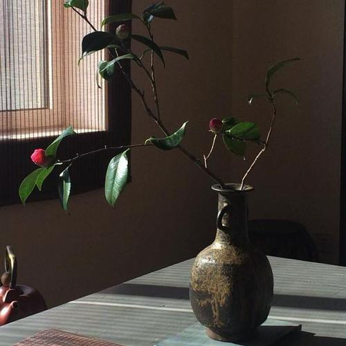 茶席上的本草纲目,茶席插花实用教程