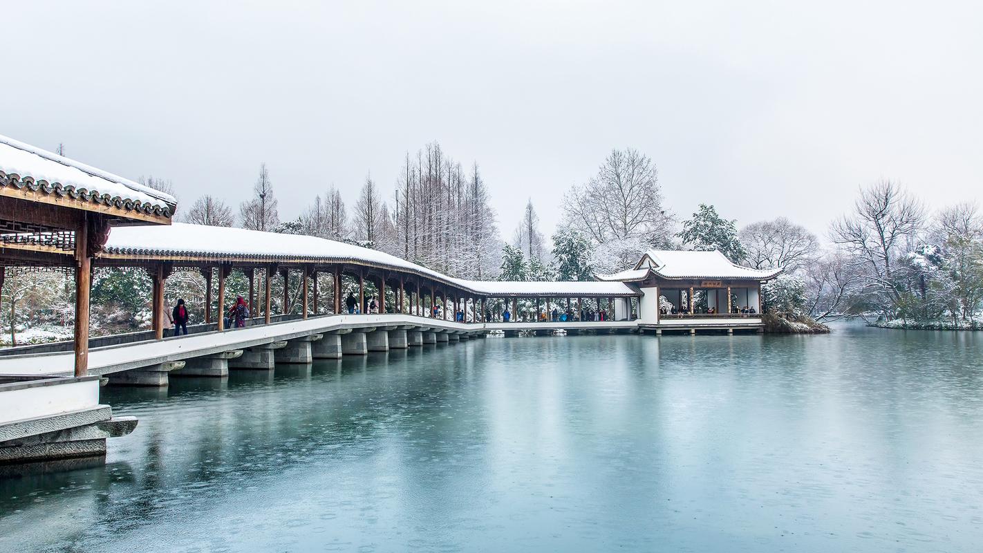 风景壁纸,雪景,唯美,高清,摄影,西湖,国内风光,杭州,2k,壁纸,2560x