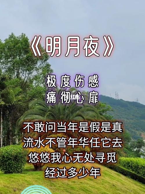 老歌欣赏《明月夜》_老歌_娱乐_音乐_音乐推荐